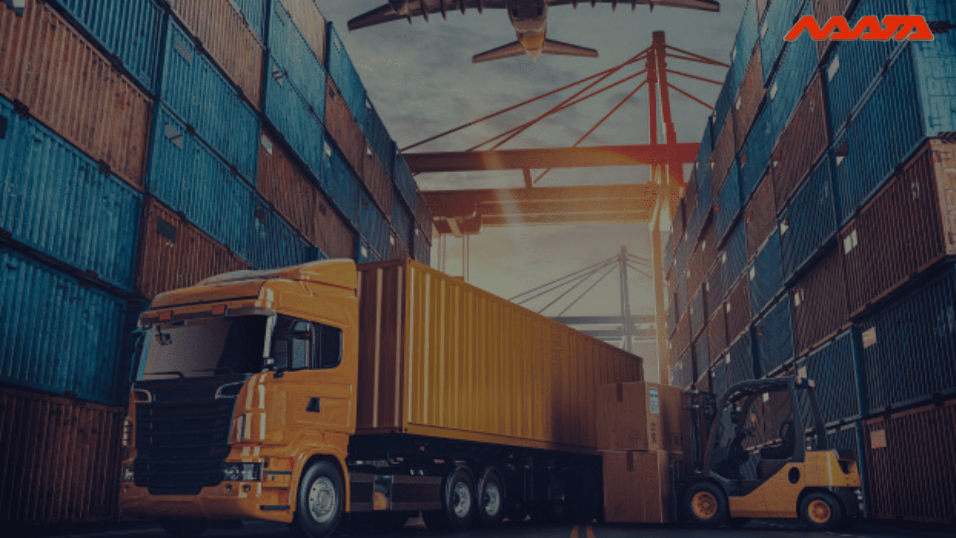 Read more about the article What Is Domestic Shipping ?