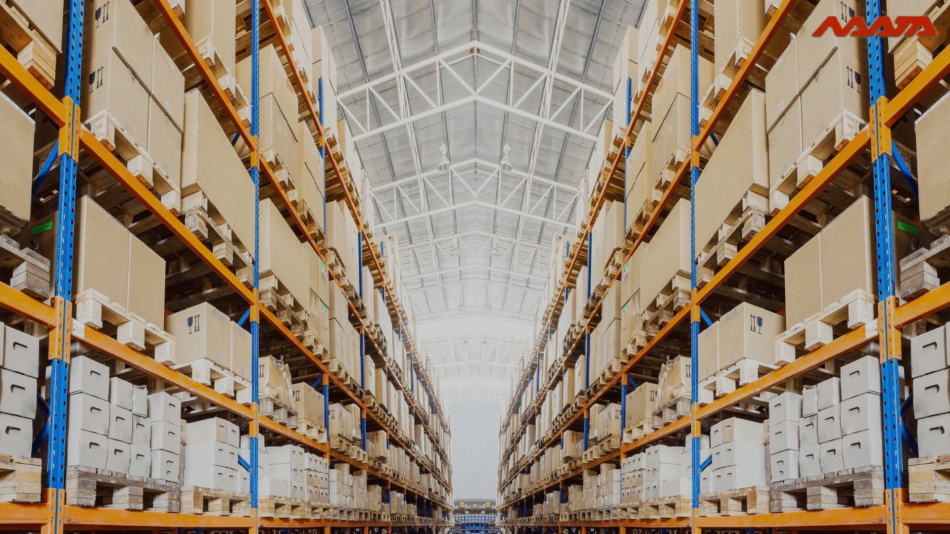 Read more about the article Difference Between Warehouse and Inventory: 4  Major Dissimilarity